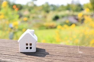 大町歯科のご案内